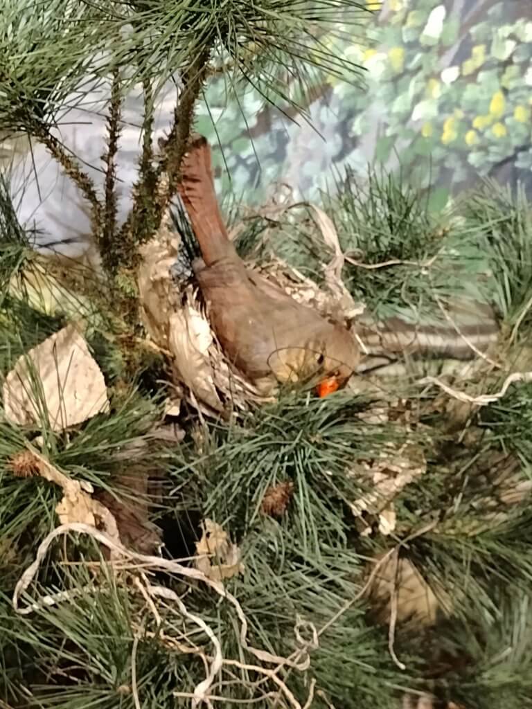 April Saturdays Sensory Bottles Lakeshore Museum Center